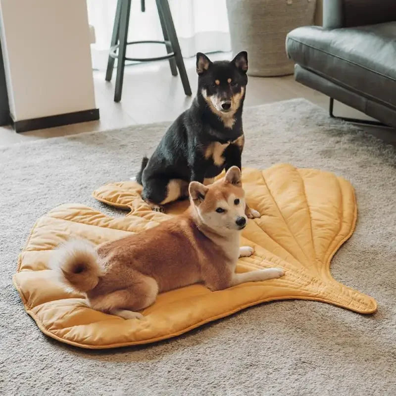 Warm Thickened Pet Bed, Super Soft Dog Mat with Leopard Pattern, All Season Reversible Cushion for Small Medium Large Dogs