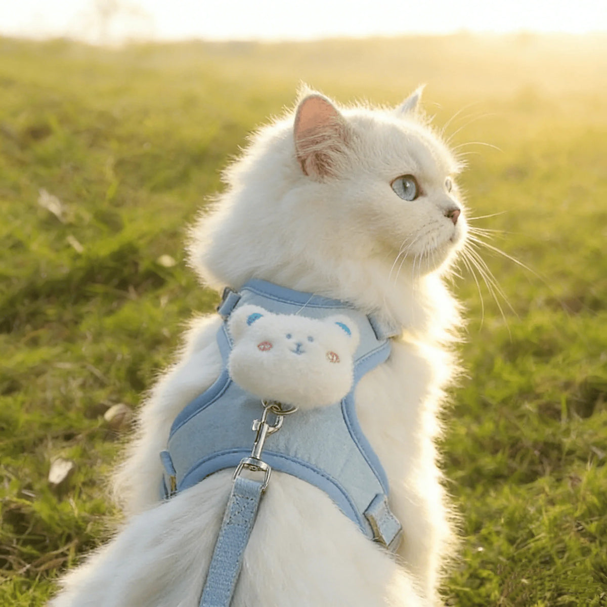 Summer Cute Animal Harness Leash Set Breathable Anti-Lost Dog Chest Straps Cartoon Adjustable Pet Walking Harnesses Lead Pet