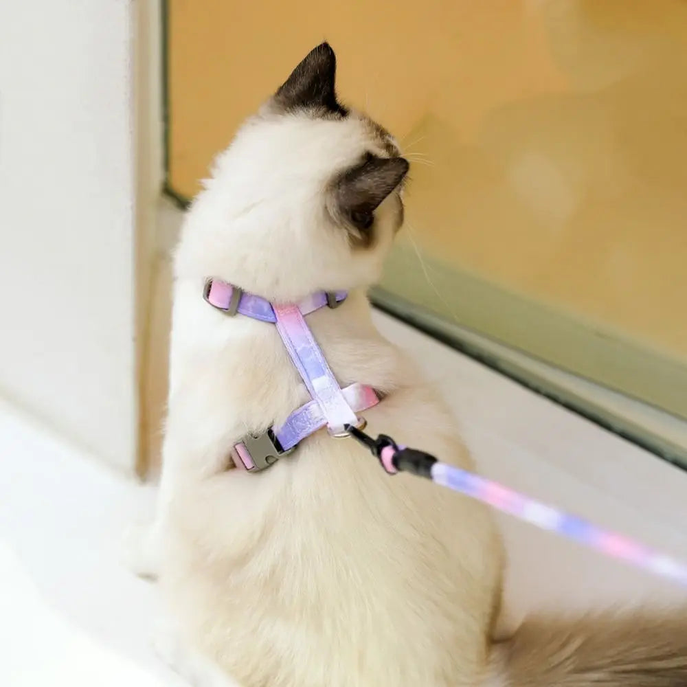 Pet Supplies Adjustable Cat Harness and Leash Set Gradient Escape Proof Pet Harness Lightweight Soft Kitten Strap Collar Puppy