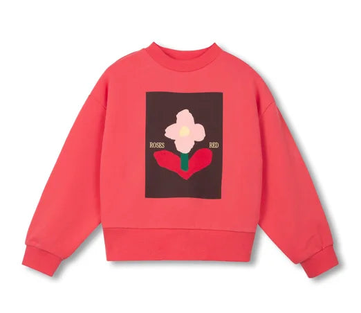 kids sweatshirts 2026 new autumn boys girls cute print sweaters child teen cotton outwear tops clothing