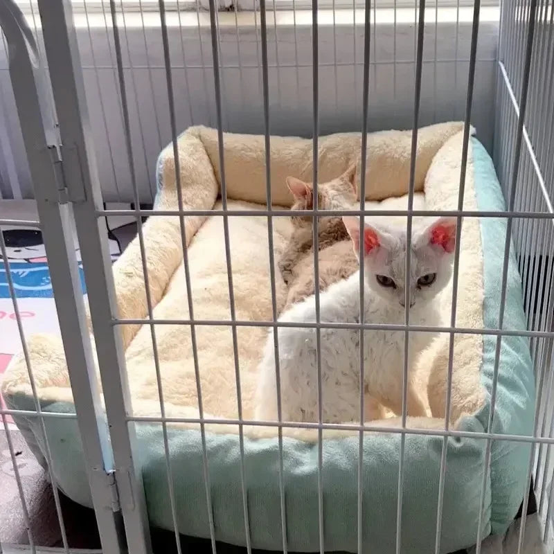 Bed for Cats Pet Products Cushions Kitten Winter Accessories Dog All Houses Supplies Things Accessory Habitats Basket House Beds