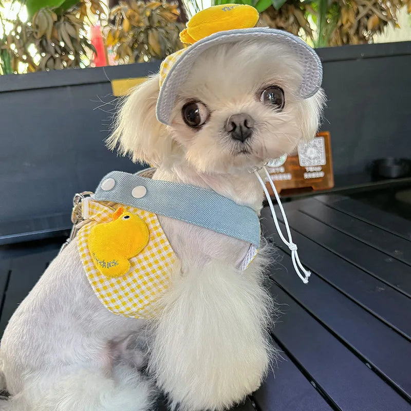 Pet Puppy Harness Leash Set for Small Mid Dogs Cat Walking Lead Chihuahua Bunny Vest Harness Poodle Collar Leash Dog Accessories