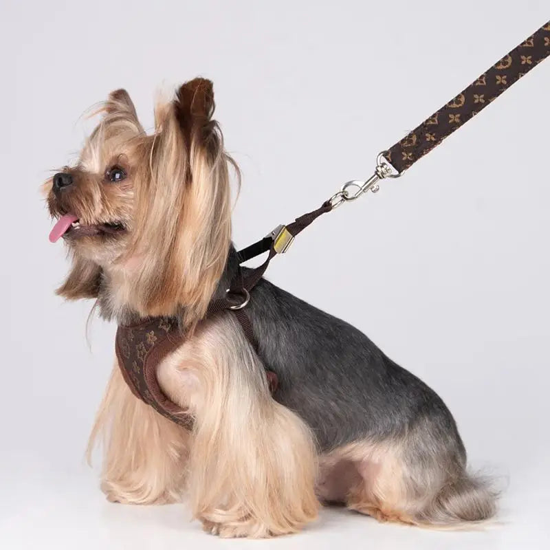 Designer Dog Harness and Leashes Set Classic Pattern Pets Collars Leash Breathable Mesh Pet Harnesses for Small Dogs Poodle Schn