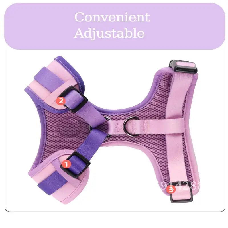 Pet Dog Harness and Leash Set Adjustable Collar Dog Harness Vest for Small Dogs Puppy Pet Lead Cats Walking Kitten Mesh Leash