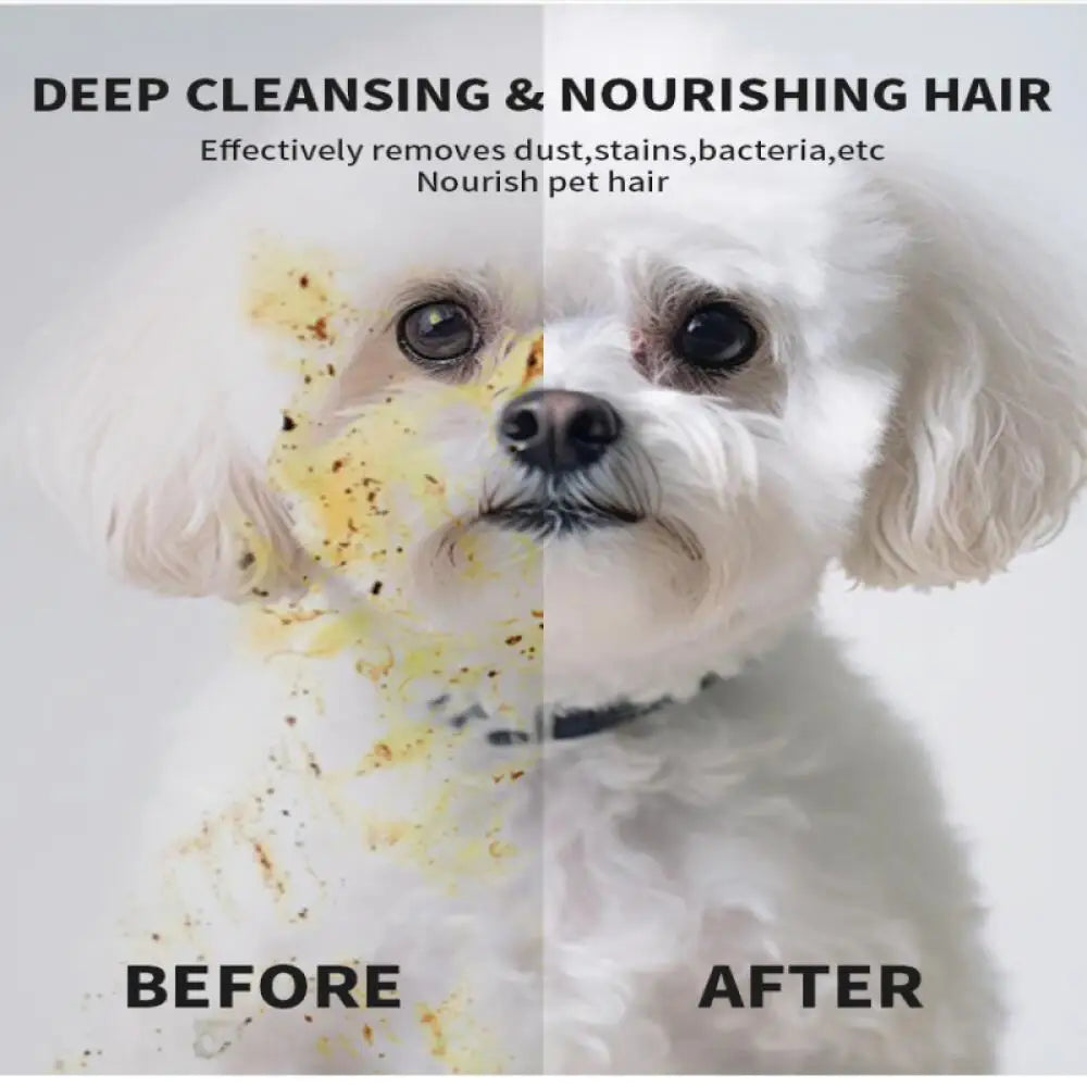 Pet Cleaning Gloves 6PCS Wash Free Grooming Wipes for Dogs Cats Disposable Dry Bath Gloves Gentle Care Supplies