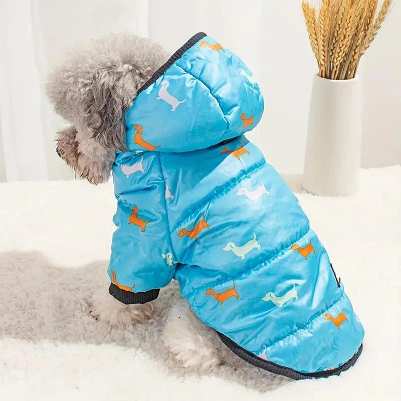 New hot pet clothing two feet hooded cotton-padded cat and dog clothing autumn and winter plus cotton thickened pet clothing
