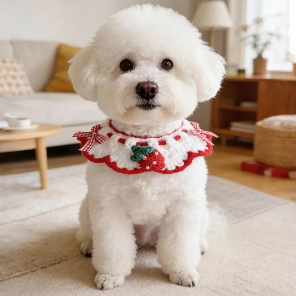 Pet Accessories Adjustable Flower Pet Scarf Bib Sweet Handmade Cat Strawberry Collar Decorative Cozy Cat Woven Bib Photo Shoots