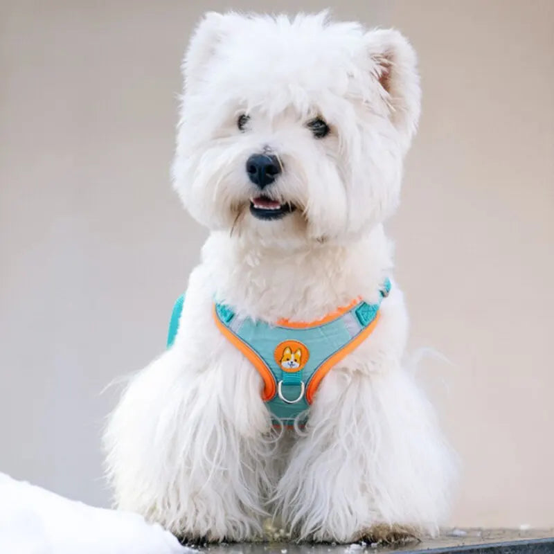 Adjustable Reflective Pet Harness Leash for Dogs and Cats, Suitable for Walking and Running