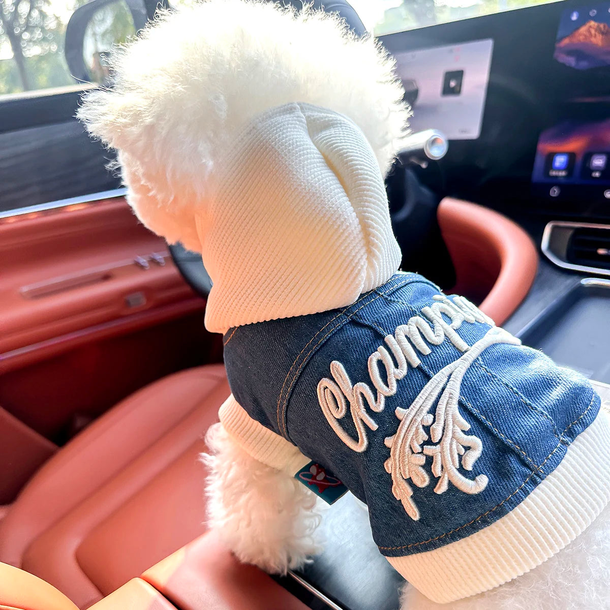 Pet Clothes Dog Cat Cat Out Handsome Cute Comfortable Champion Embroidered Blue Coat Hoodie