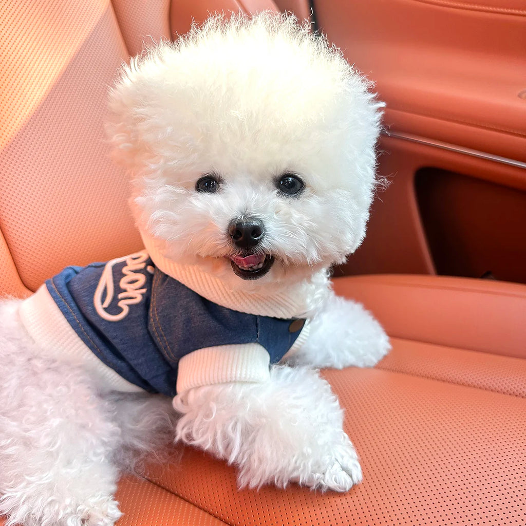 Pet Clothes Dog Cat Cat Out Handsome Cute Comfortable Champion Embroidered Blue Coat Hoodie
