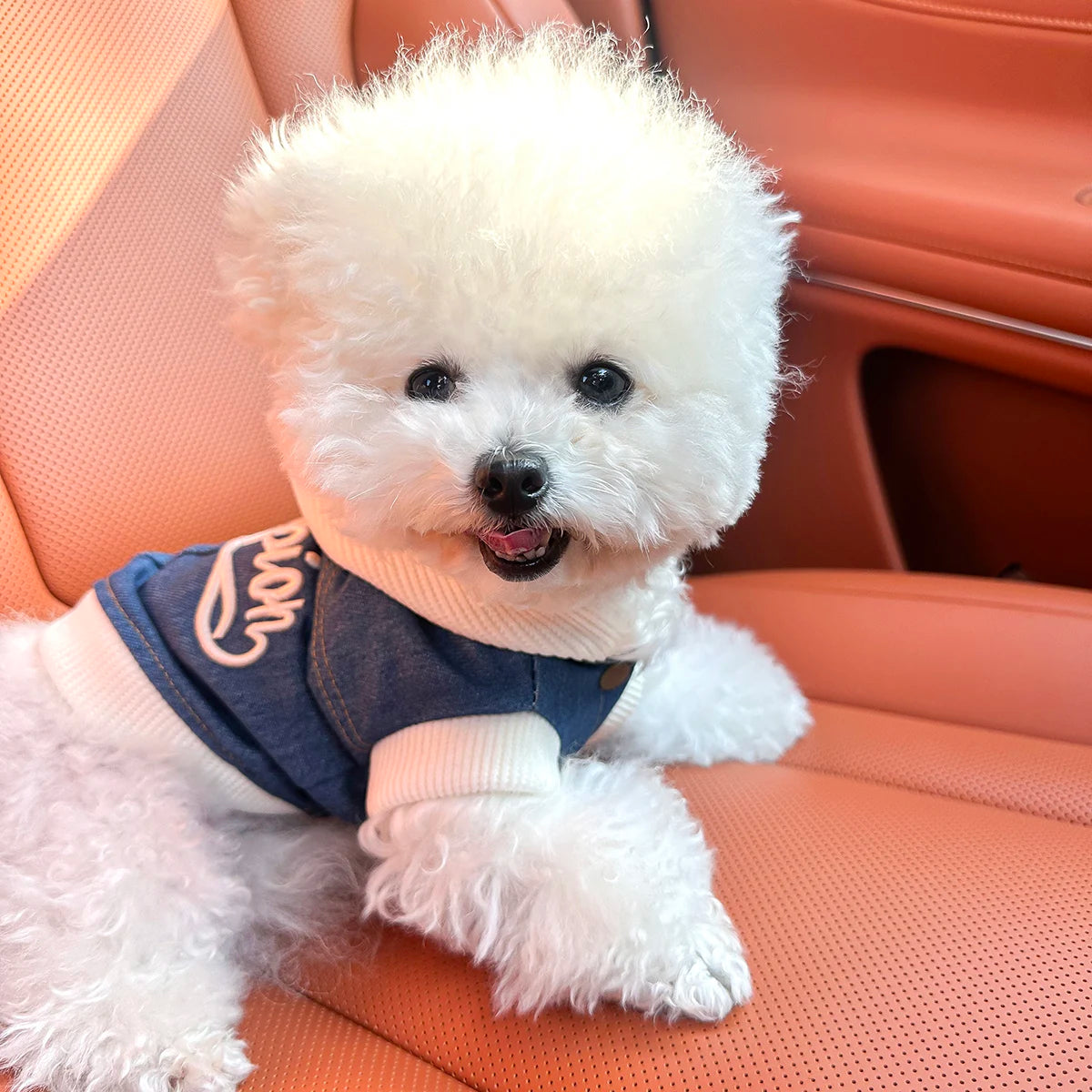 Pet Clothes Dog Cat Cat Out Handsome Cute Comfortable Champion Embroidered Blue Coat Hoodie