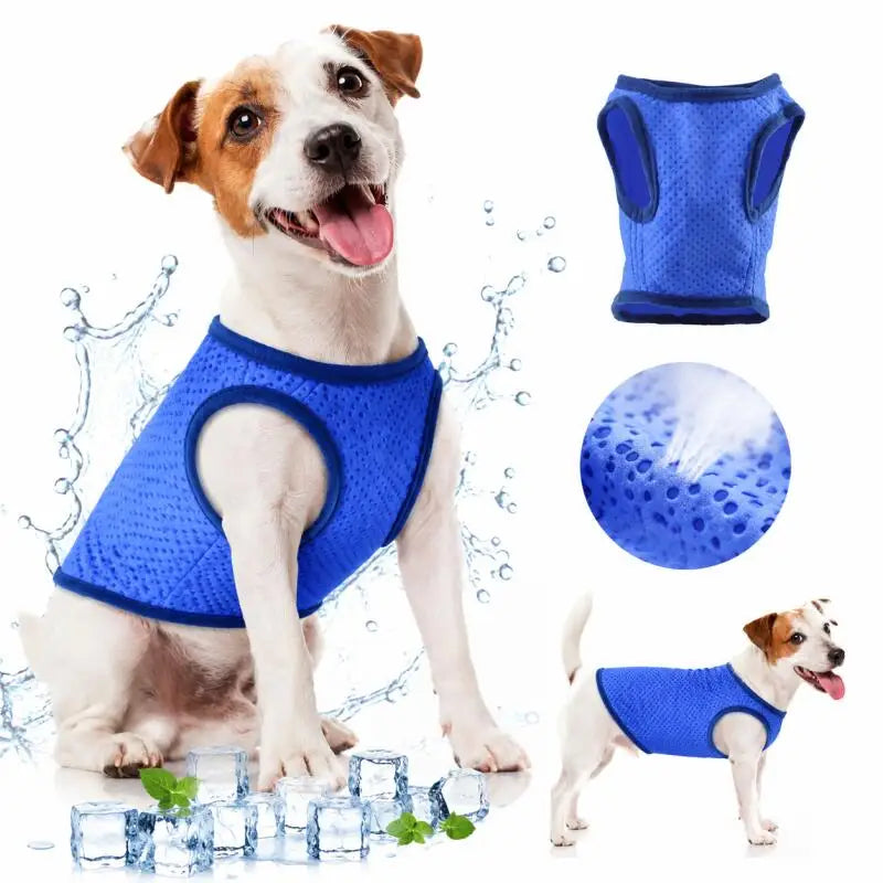 Pet Dog Cooling Vest Breathable Mesh Summer Cool Sleeveless Shirt Quick Dry Jacket For Small Cat Medium Large Dogs Cool Clothing