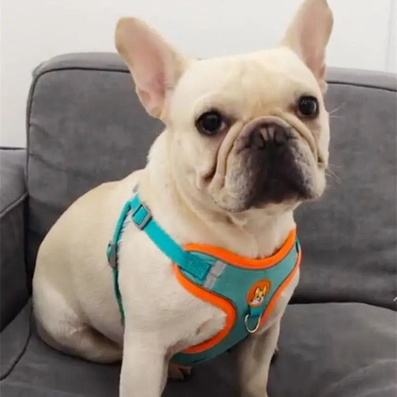 Adjustable Reflective Pet Harness Leash for Dogs and Cats, Suitable for Walking and Running