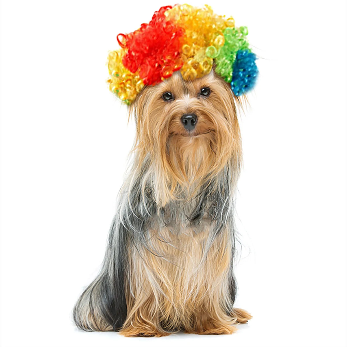 Pet Wigs Cosplay Props Funny Dogs Cats Dress Up Hair Hat Costumes Headdress Accessories For Halloowen Christmas Supplies
