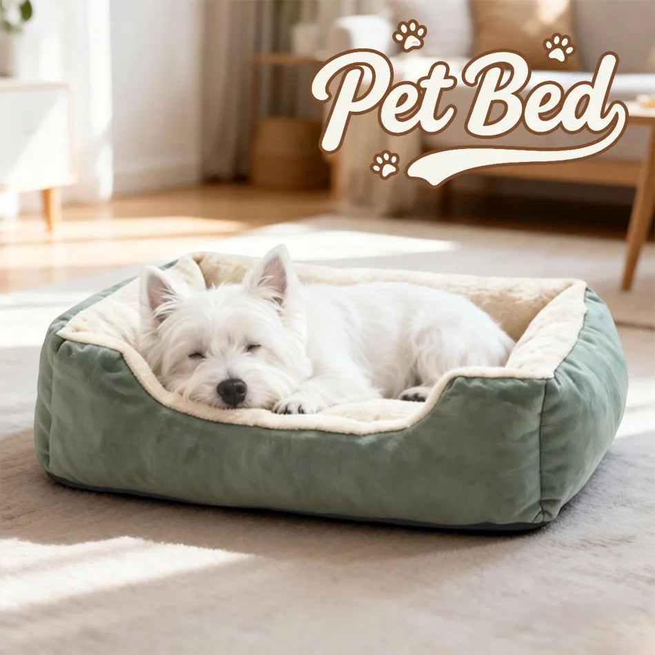 Bed for Cats Pet Products Cushions Kitten Winter Accessories Dog All Houses Supplies Things Accessory Habitats Basket House Beds