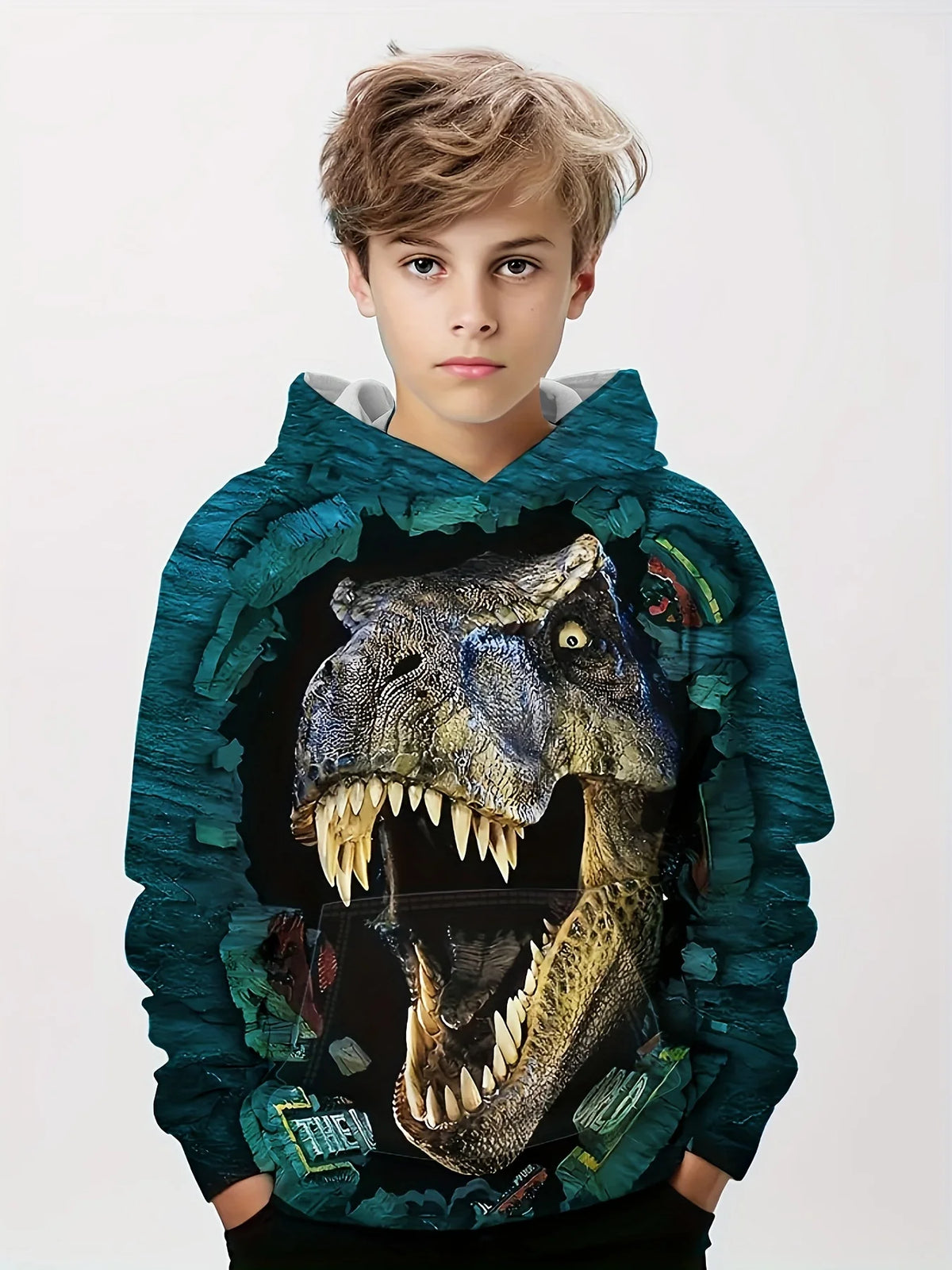 Children's Clothing Hoodies Kids Clothes Boy Children Top Long Sleeve Cartoon Dinosaurs Print Spring And Autumn Outdoor Clothes