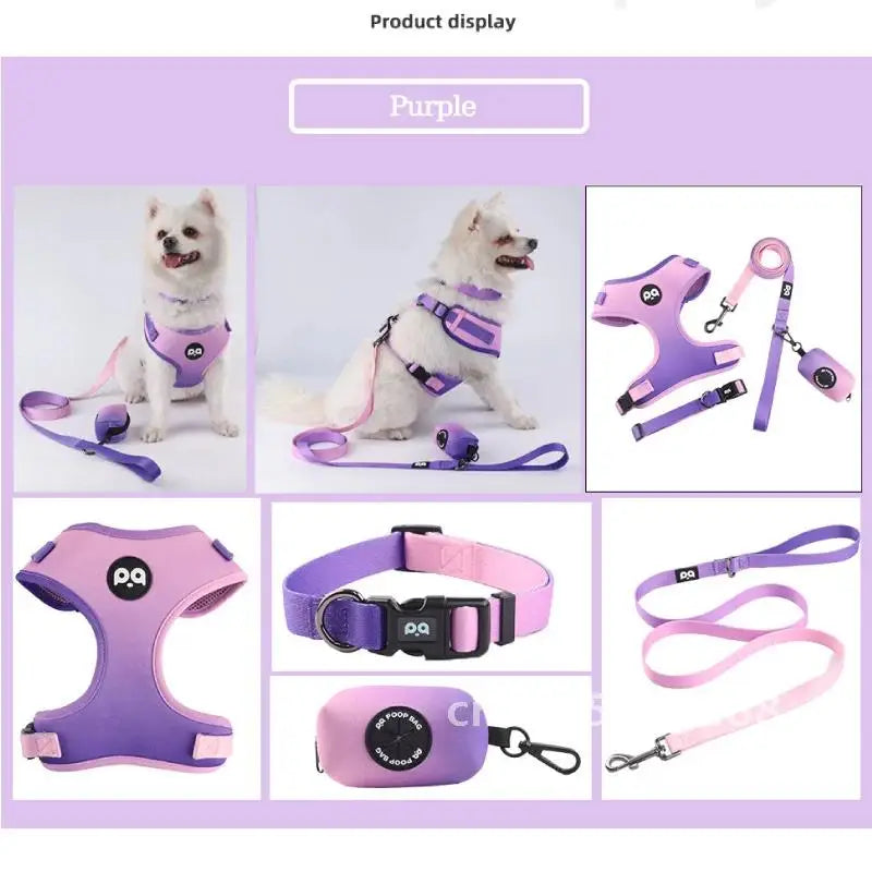 Pet Dog Harness and Leash Set Adjustable Collar Dog Harness Vest for Small Dogs Puppy Pet Lead Cats Walking Kitten Mesh Leash