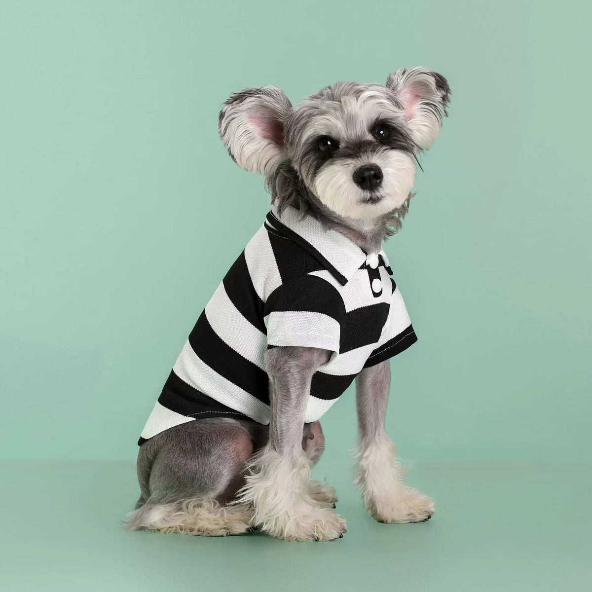 Pet Dog Polo Shirt Dog Clothes Summer Casual Clothing for Small Large Dogs Cats T-Shirt Chihuahua Pug Costumes Yorkshire Shirts