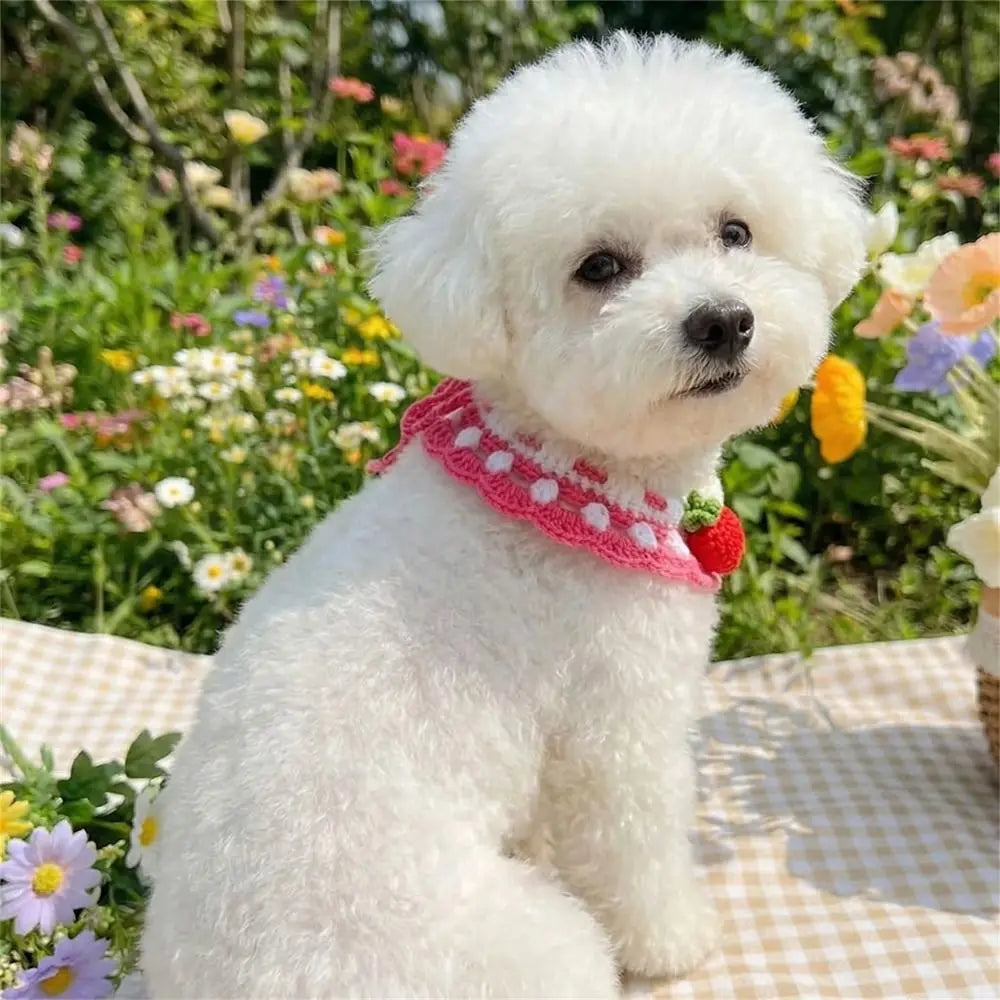 Pet Accessories Adjustable Flower Pet Scarf Bib Sweet Handmade Cat Strawberry Collar Decorative Cozy Cat Woven Bib Photo Shoots