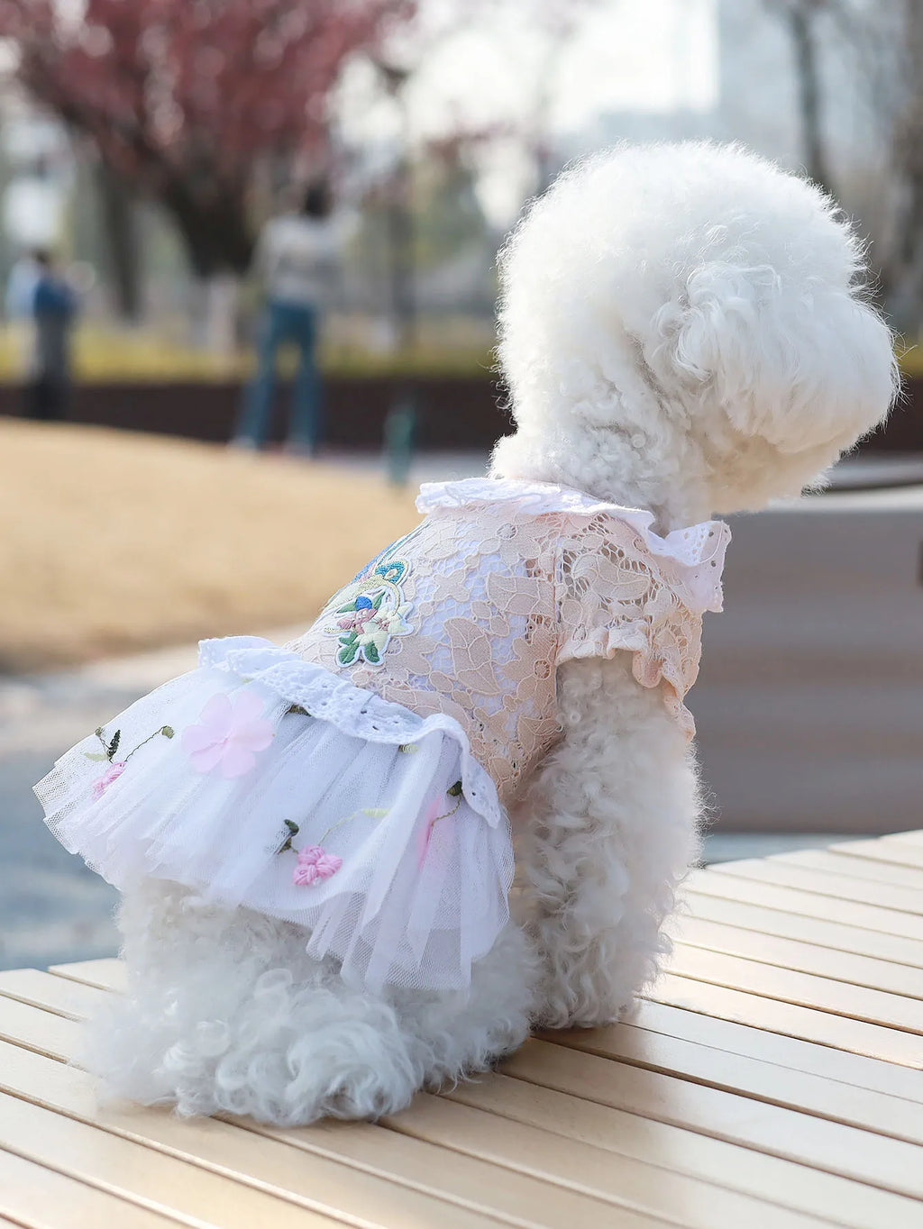 Pet Clothes Princess Skirt Breathable Lace Spring & Summer Cute Puppy Teddy Bichon Dress Small and Medium sized Dog Clothing