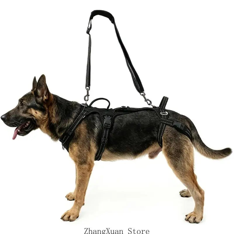 Dog Harnesses Leashes Set for Small Media Dog Adjustable Reflective Puppies Cats Harnesses Pet Vest Outdoor 3XUF
