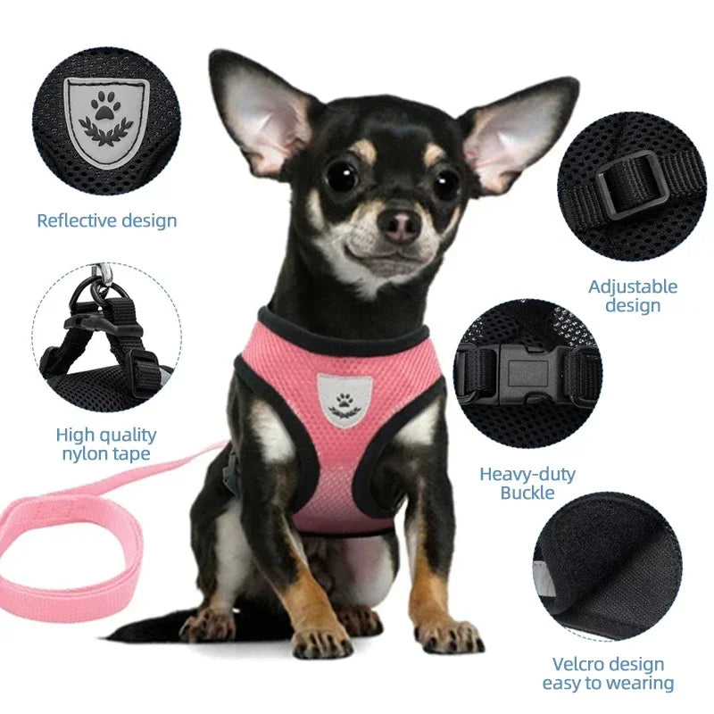 Walking Cat Harness Vest Lead Leash for Puppy Dogs Collar Polyester Adjustable Mesh Dog Harness for Small Medium Pet Accessories