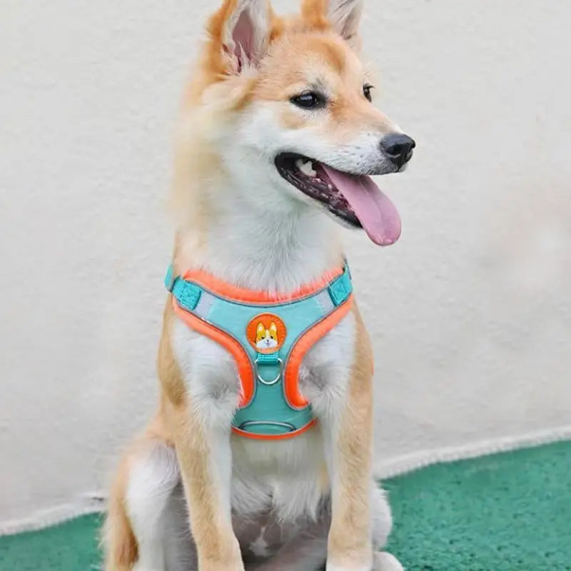Adjustable Reflective Pet Harness Leash for Dogs and Cats, Suitable for Walking and Running