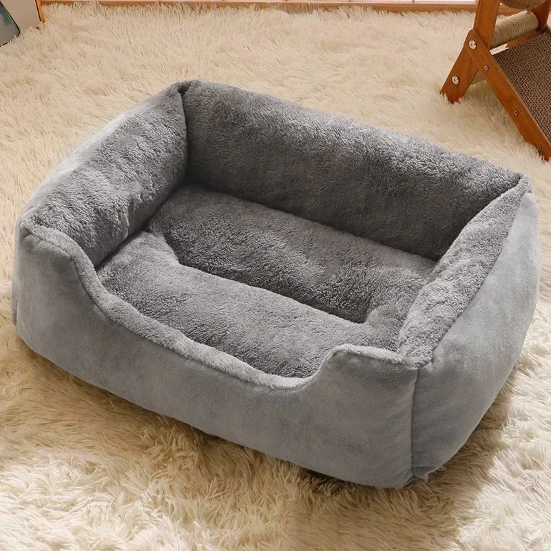 Bed for Cats Pet Products Cushions Kitten Goods Accessories Dog All Houses Supplies Things Accessory Habitats Basket House Beds