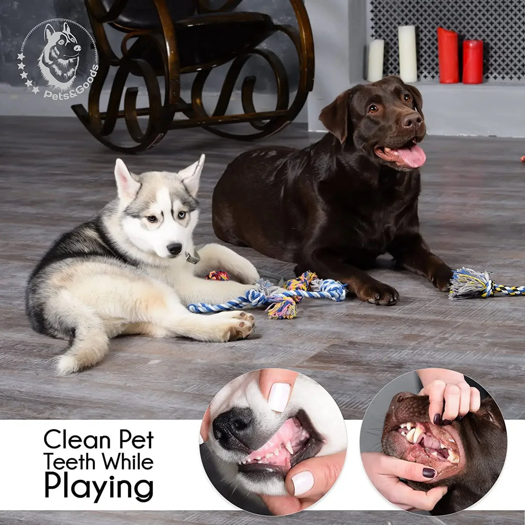 Pet Dog Chew Toys for Large Small Dogs Toy Interactive Cotton Rope Puppy Teething Toys Ball for Dogs Toothbrush Chew Toy Set