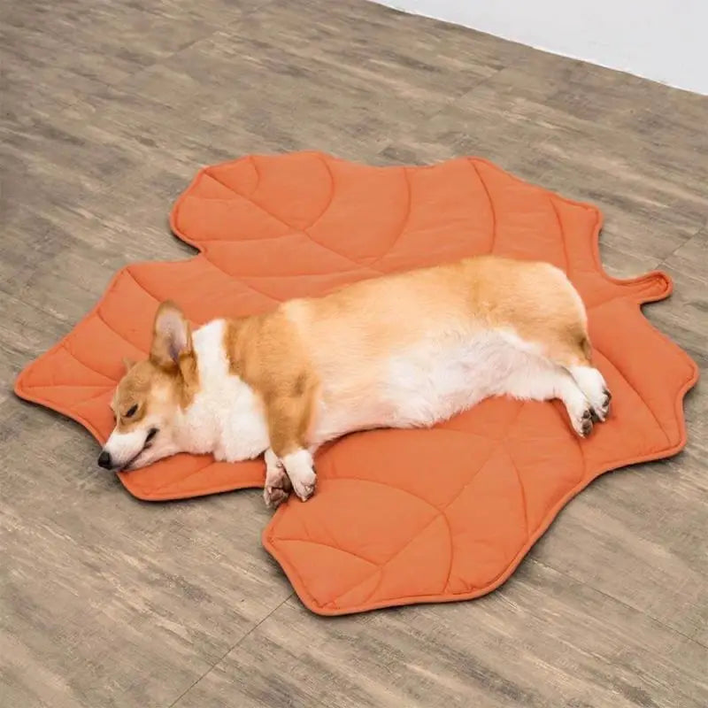 Warm Thickened Pet Bed, Super Soft Dog Mat with Leopard Pattern, All Season Reversible Cushion for Small Medium Large Dogs
