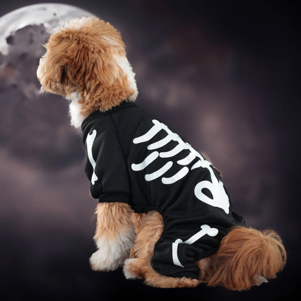 Pet Clothes,Halloween Ones Featuring Glow-in-the-dark Skull Bones with Four Legs,festive Pet Supplies Dog Clothing Sweatshirt