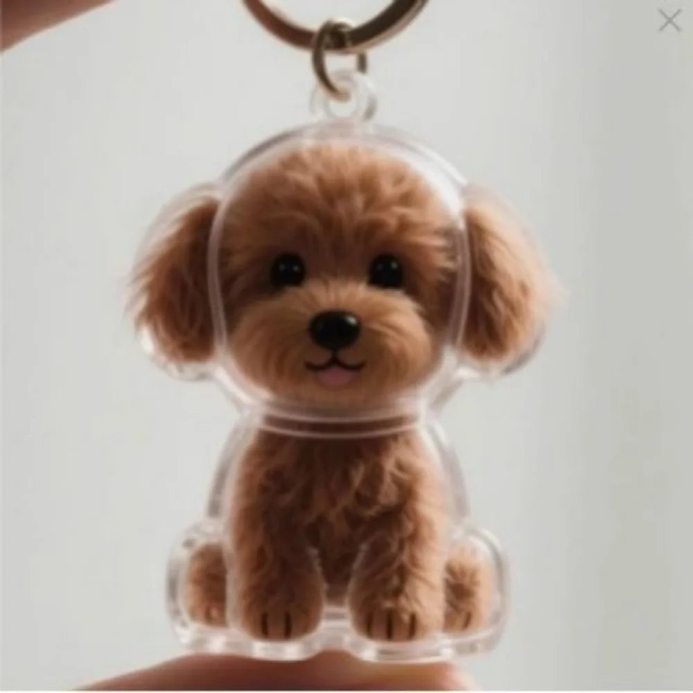 Transparent Pet Hair Storage Memorial Keychains Cat and Dog Hair Organization Capsules Decorative Pendants Cat Accessories