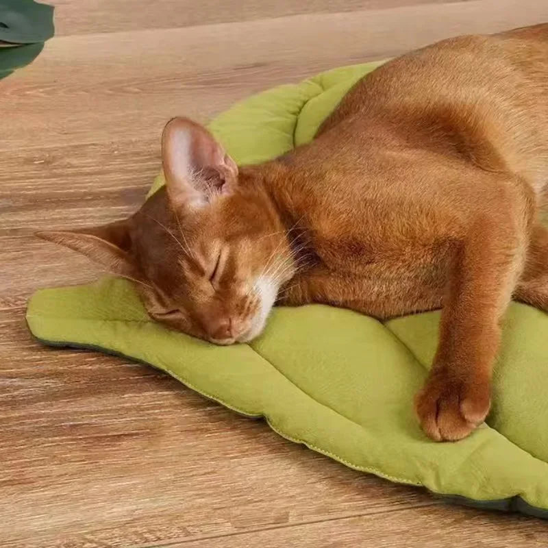 Cat Bed Mats Soft Cotton Leaf Shaped Kitten Cat Puppy Dog Bed Mat Sleep Blanket Home Pets Double Sided Pad Floor Rugs Washable