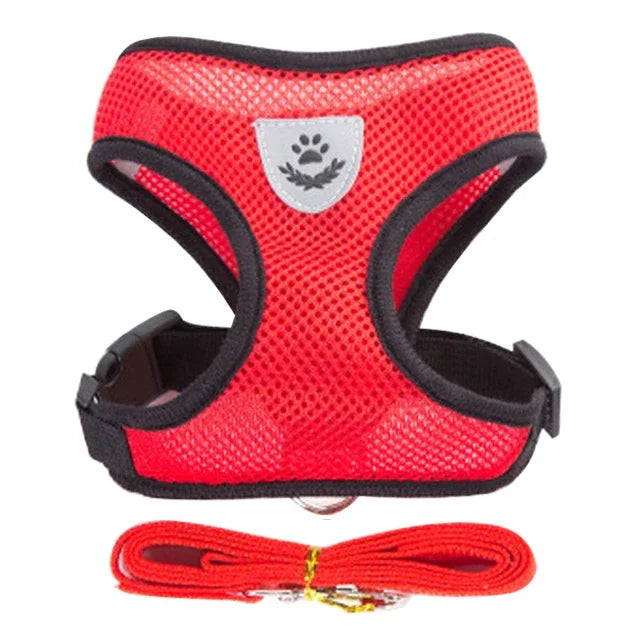 Walking Cat Harness Vest Lead Leash for Puppy Dogs Collar Polyester Adjustable Mesh Dog Harness for Small Medium Pet Accessories