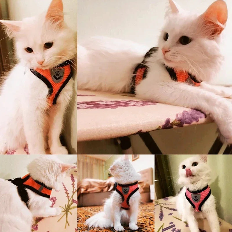 Walking Cat Harness Vest Lead Leash for Puppy Dogs Collar Polyester Adjustable Mesh Dog Harness for Small Medium Pet Accessories