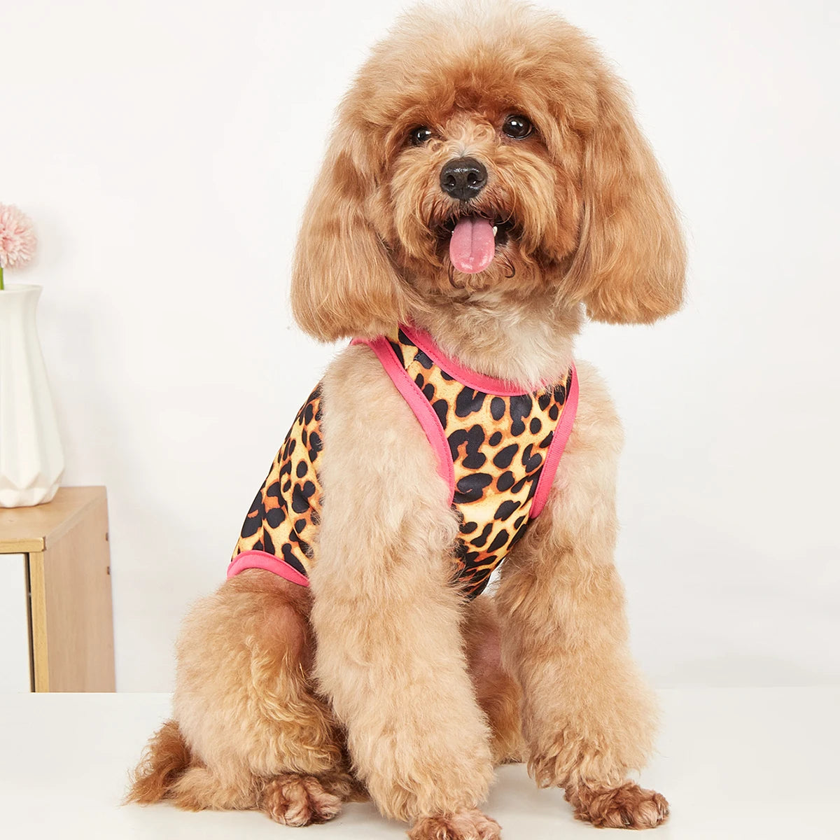 Pet clothes: dog and cat vest Light, breathable, comfortable, simple, generous, fresh and cute, suitable for all seasons