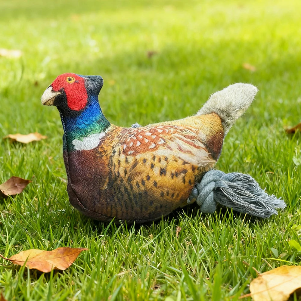 Plush Toy for Cats and Dogs: Lifelike Pheasant, Tear-Resistant Knotted Toy, Washable, Interactive Companion Toy for Pets