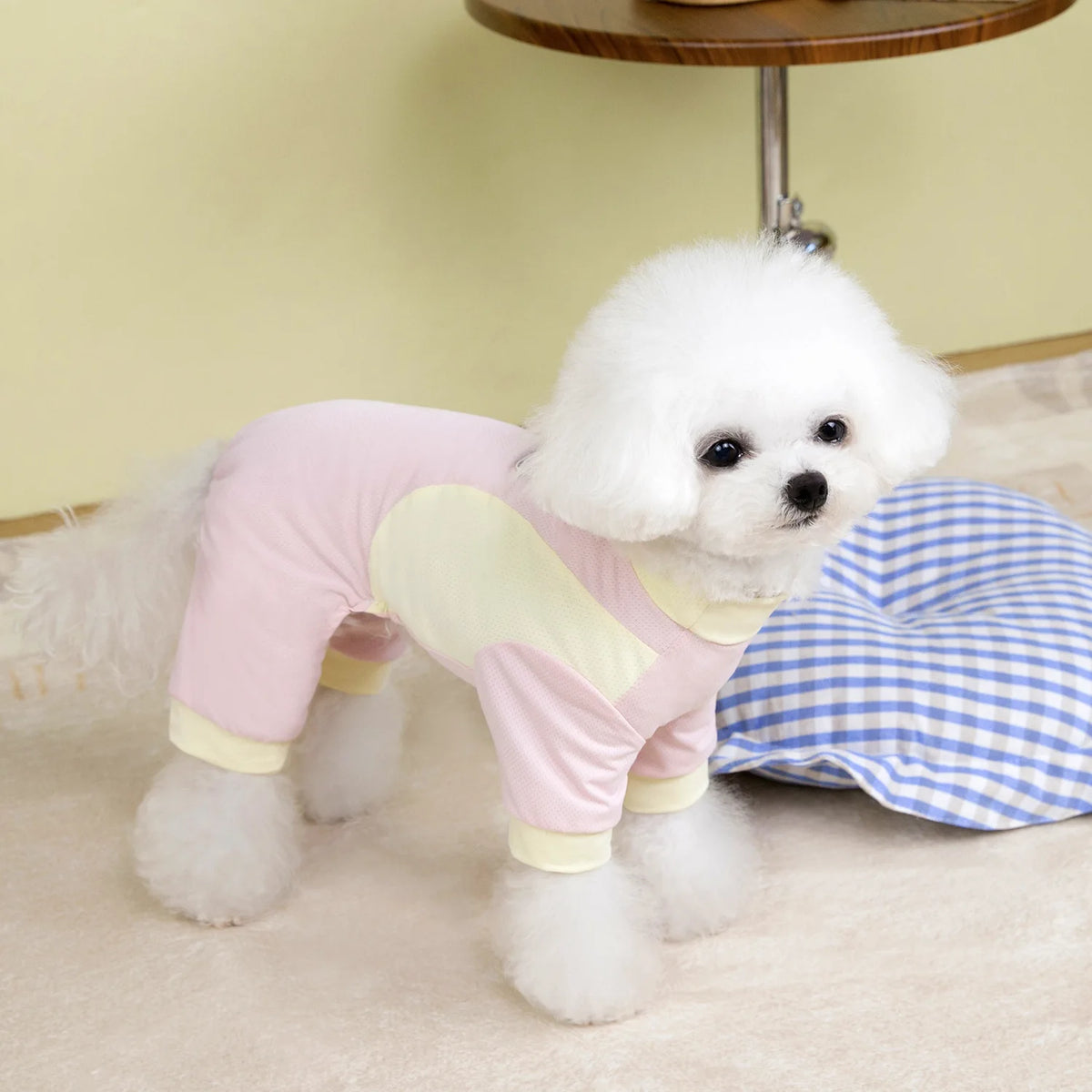 Pet clothing outdoor  dog four-legged outfit spring and summer new dog clothes cat spring and summer clothes for sun protection