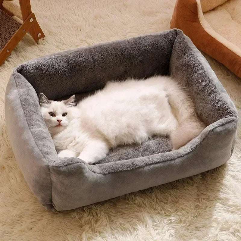 New Bed for Cats Pet Products Cushions Kitten Goods Accessories Dog All Home Supplies Things Accessory Habitats Basket House Bed