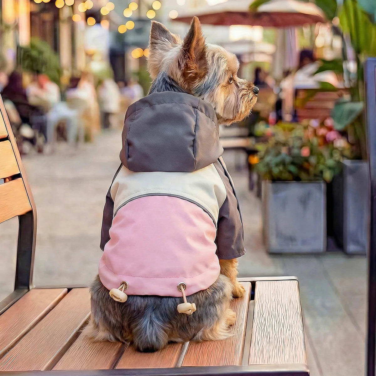 Pet Cat and Dog Clothes, Cool Jacket Pink Grey Spring Hooded Jacket, Handsome Going Out, Suitable for Small