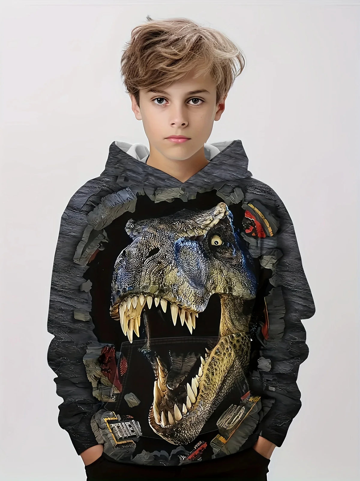 Children's Clothing Hoodies Kids Clothes Boy Children Top Long Sleeve Cartoon Dinosaurs Print Spring And Autumn Outdoor Clothes