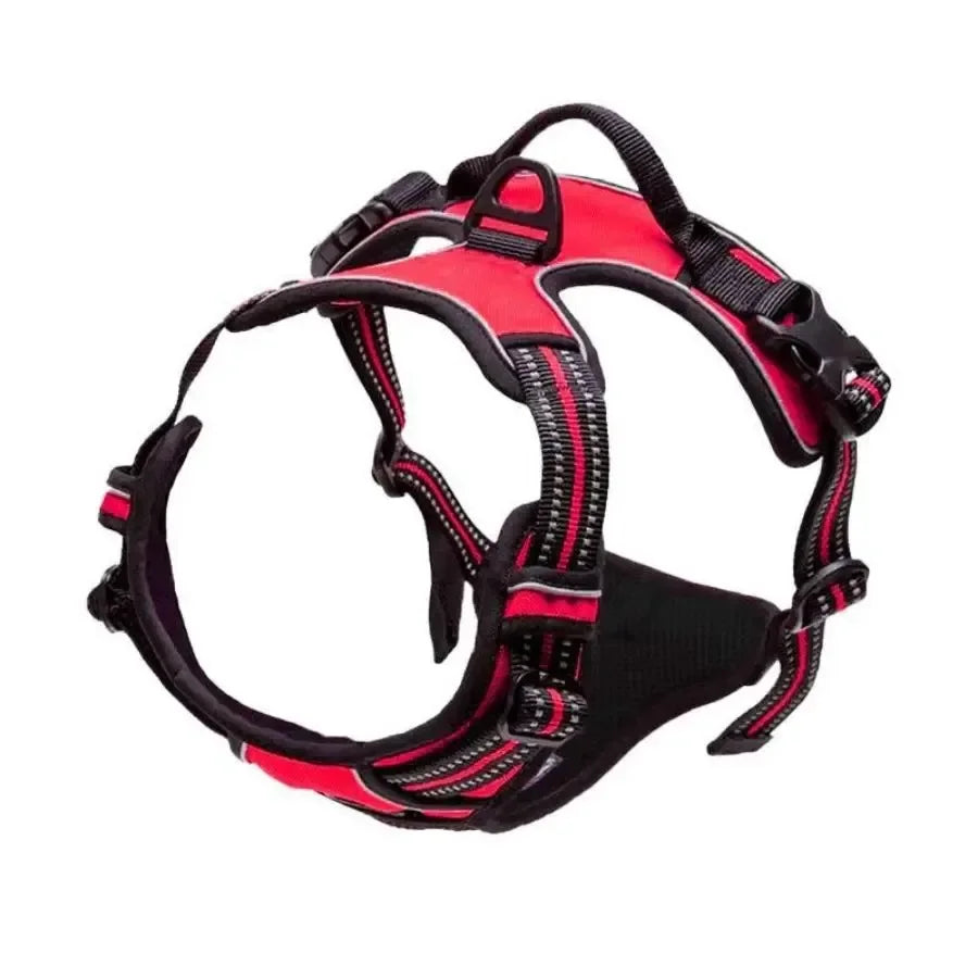 Dog Collars Harness Big Vests Leash Pet Shop Everything for Dogs Leather Puppy Accessories Medium Small Set SIZE L