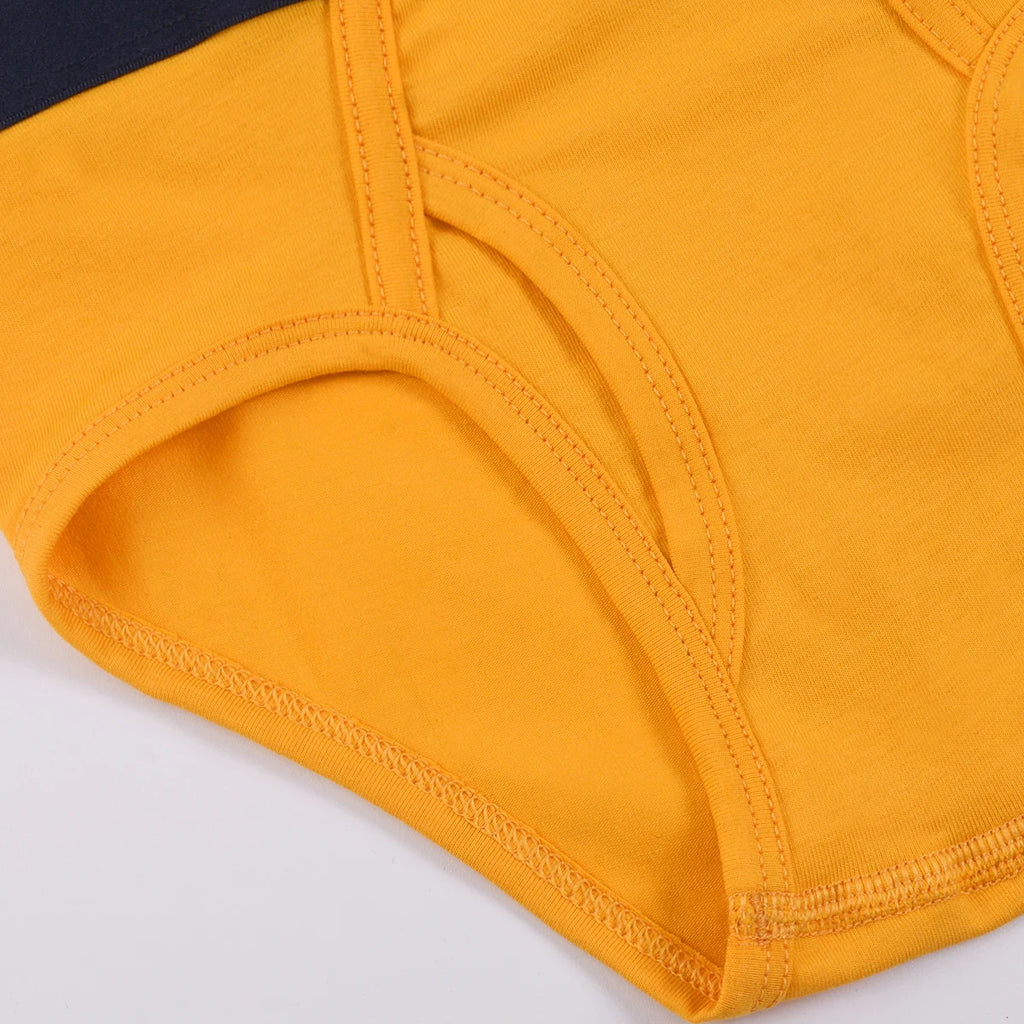 Kids Boy Underwear, Cotton Breathable Briefs, Multi-Color Toddler Underpants for Boys