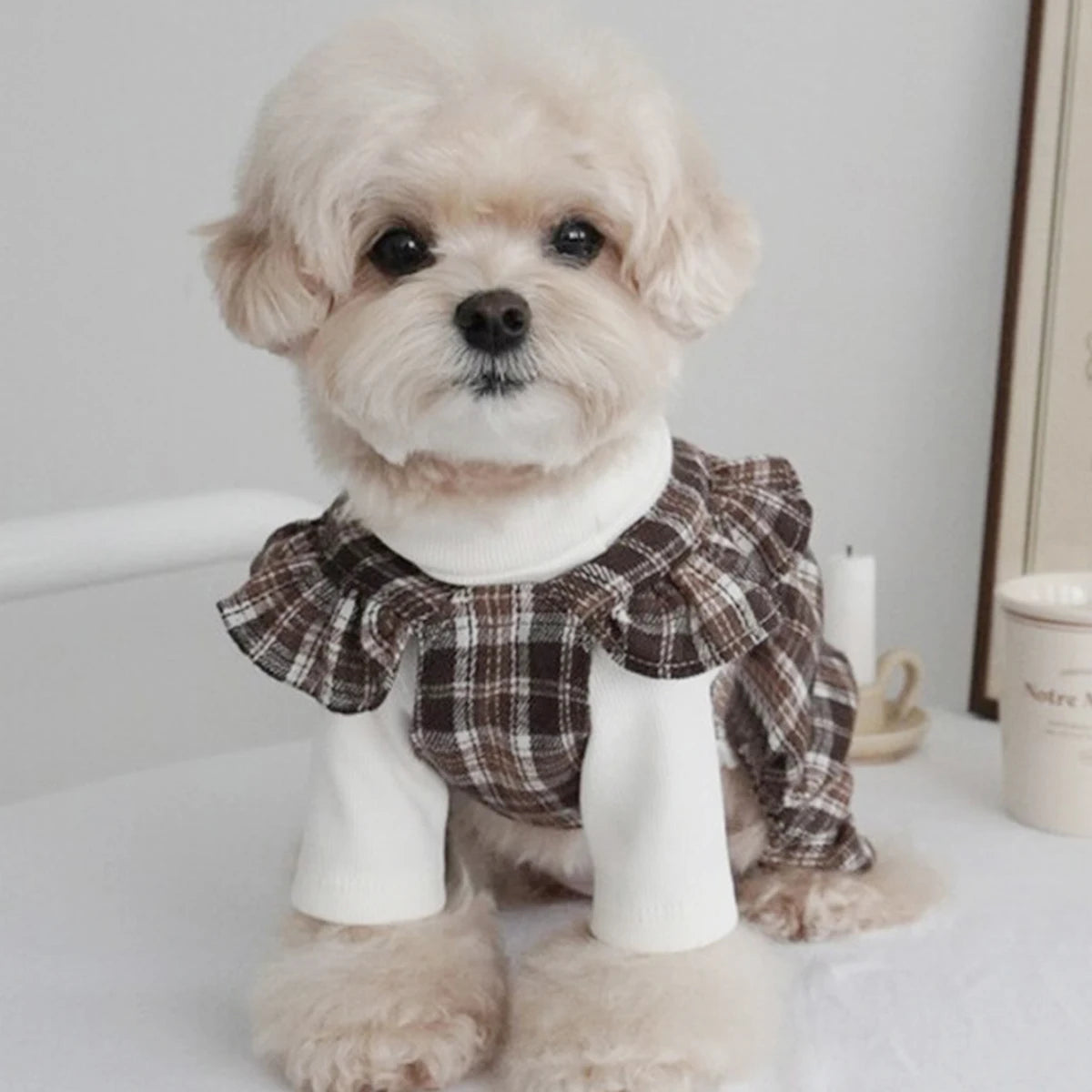 Pet Clothes Dog Dresses Princess Retro Plaid Bow Skirt Teddy Bichon Small Medium Dog Clothes Fashion Trend Decorative Clothing