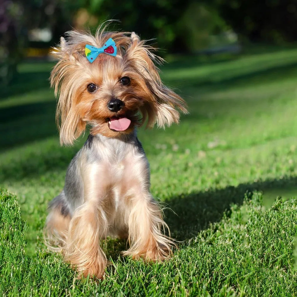 10pcs Creativity Pet Hair Accessories Bow Polyester Cute Puppy Bow with Rubber Band Suitable for Dogs Cat Grooming Accessories