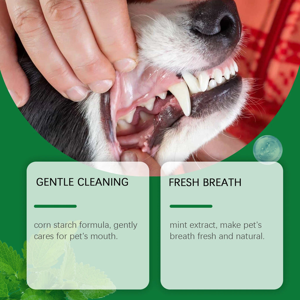 Pet Teeth Cleaning Powder Reduce Dental Plaque Calculus Eliminates Oral Odors Whiten Teeth Fresh Breath Pet Cleaning Products