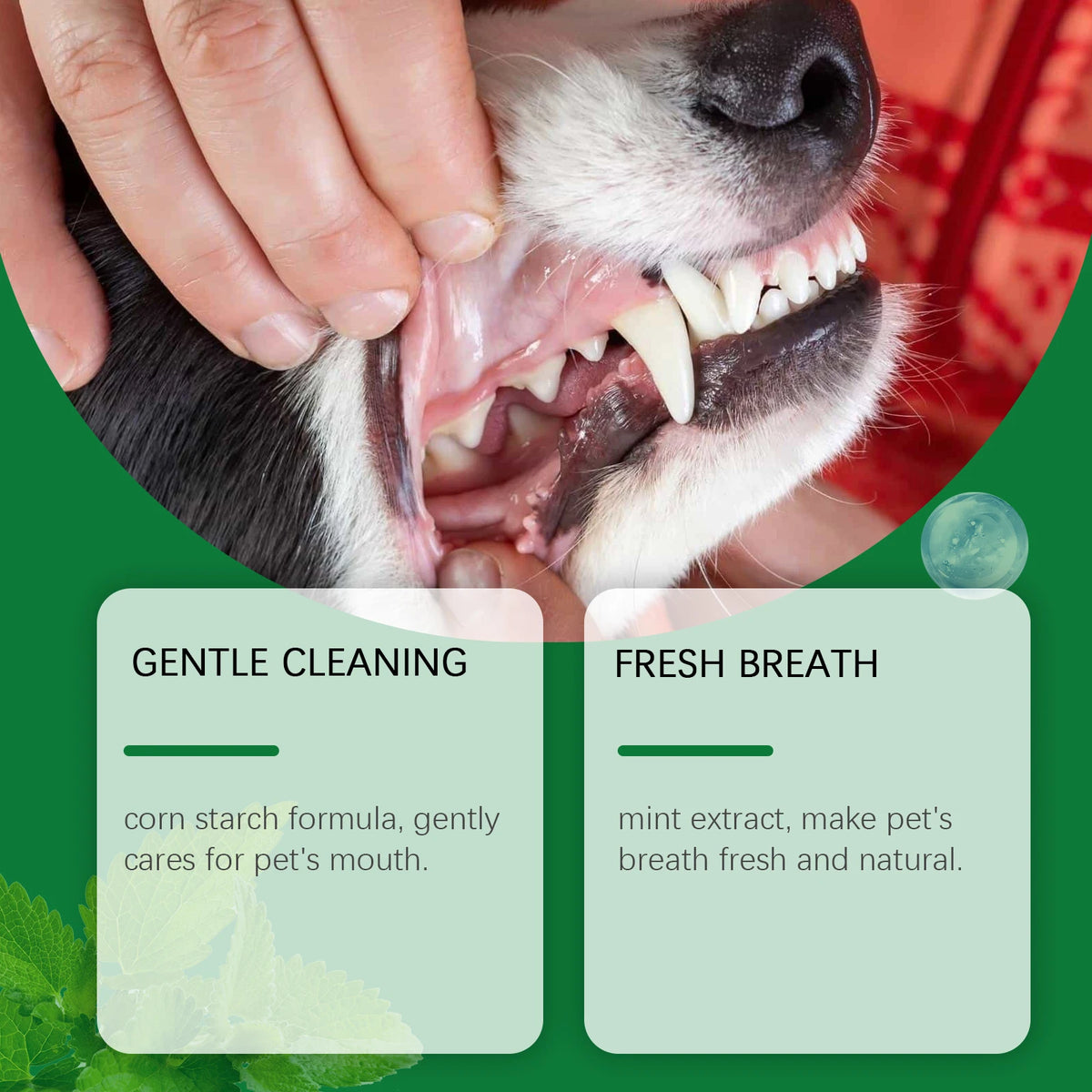 Pet Teeth Cleaning Powder Reduce Dental Plaque Calculus Eliminates Oral Odors Whiten Teeth Fresh Breath Pet Cleaning Products