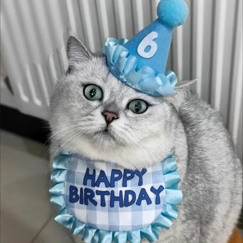 Pet Hat & Bib Set for Cats Birthday , Kitty Party Dress-up Costume Accessories, Adjustable Bandana Photo Props for Celebration