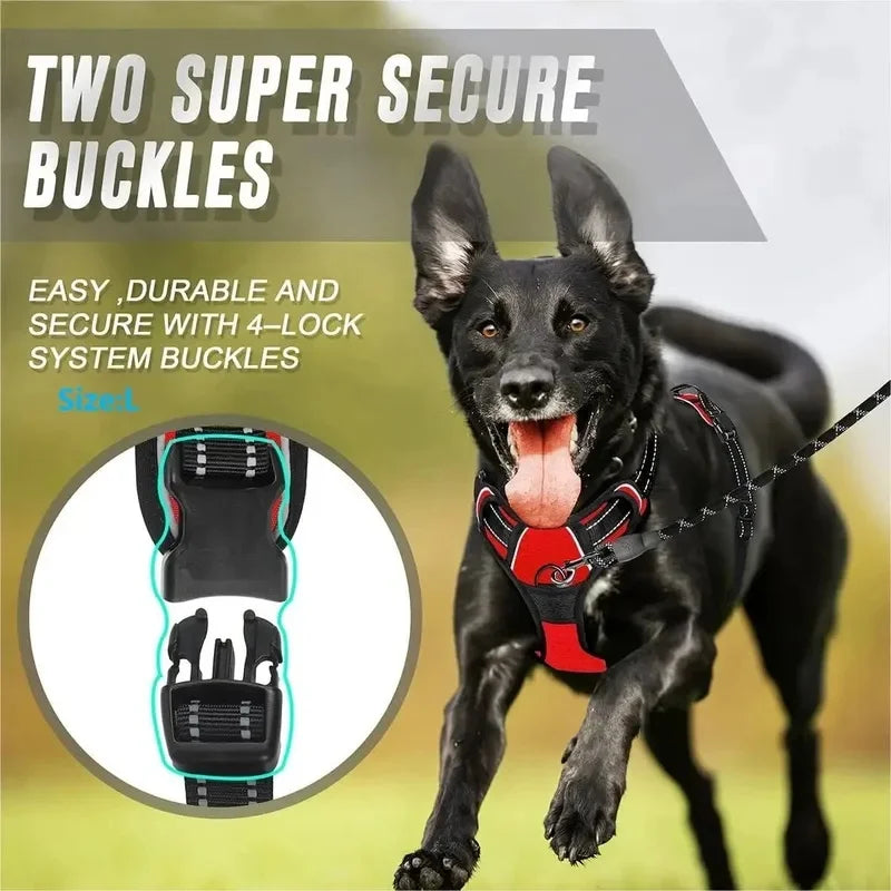 Dog Collars Harness Big Vests Leash Pet Shop Everything for Dogs Leather Puppy Accessories Medium Small Set SIZE L