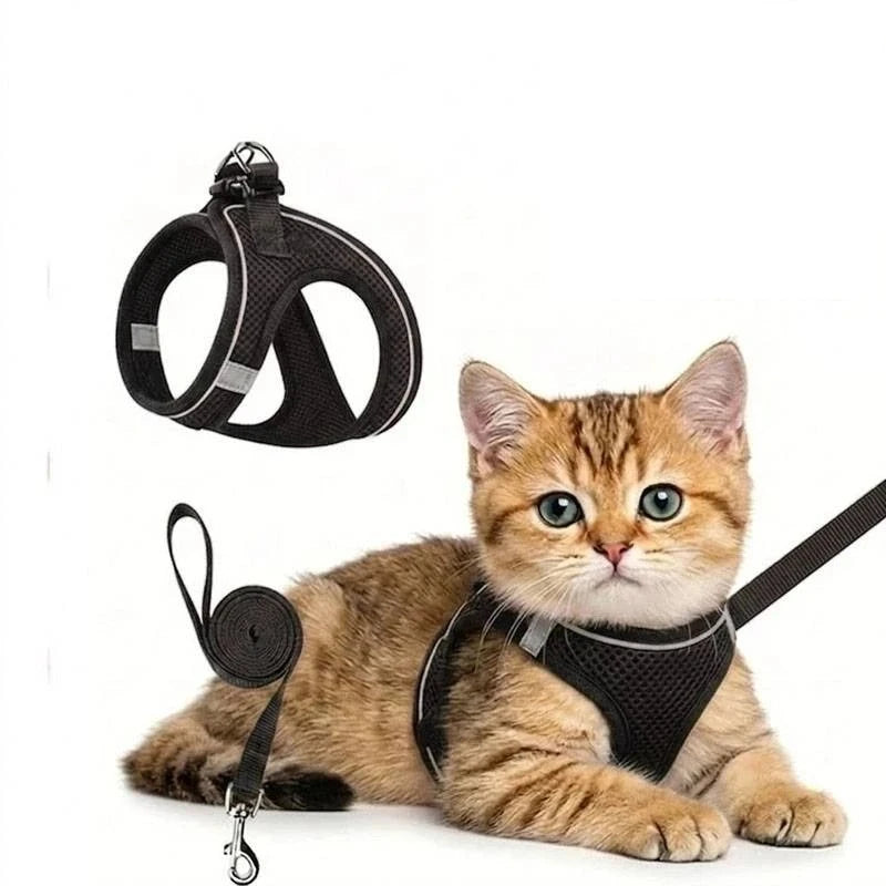2Pcs Universal Harness and Leash Set for Cats and Dogs. Harness. Leash. Cat and Dog Puppy Collars. Chest Harness.